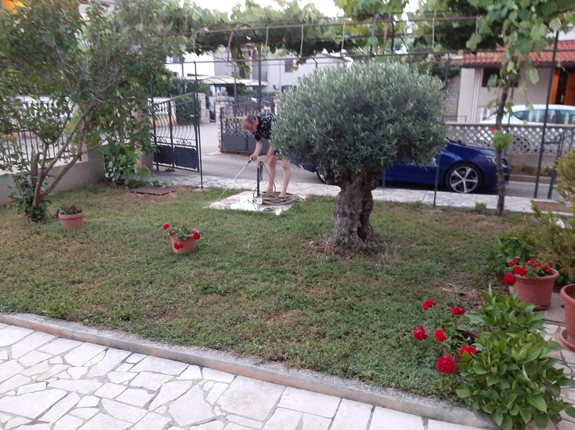 Apartment Stefania روفينج الغرفة الصورة